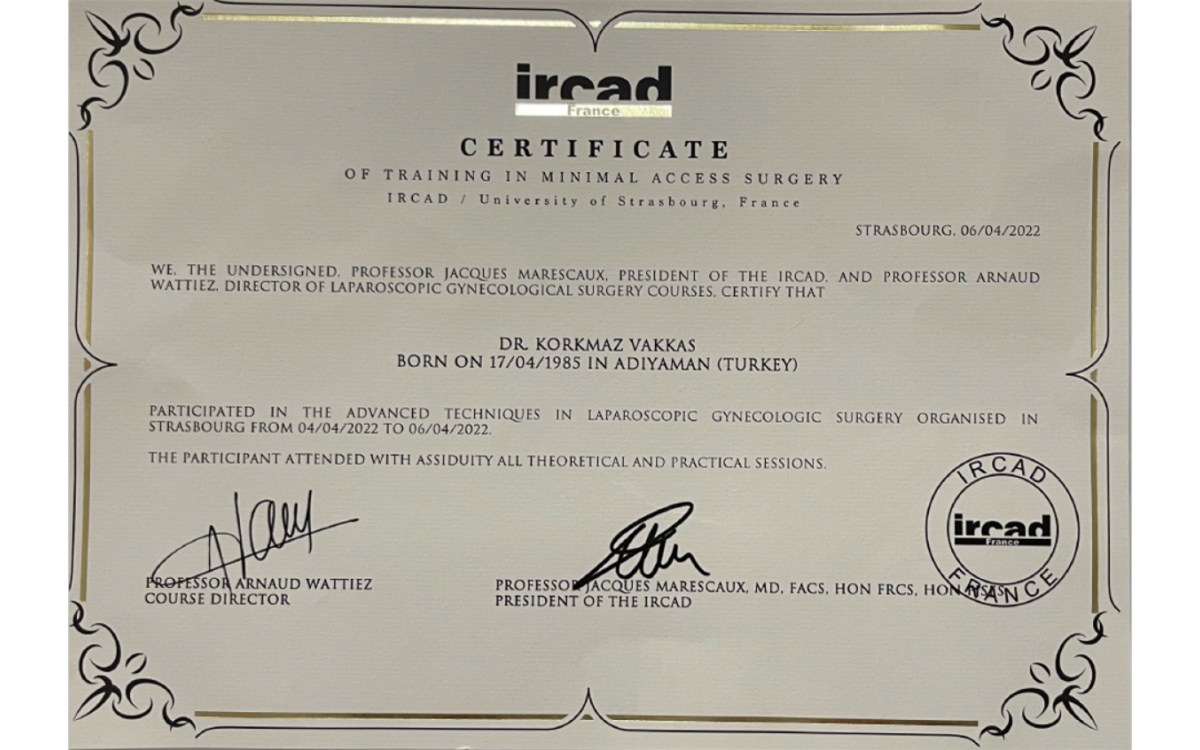 IRCAD İleri Düzey Laparoskopik Cerrahi Eğitimi
